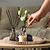 Wooden Tray